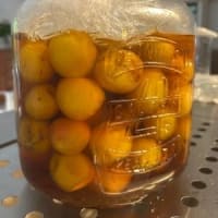 梅干さしす漬け。その３。