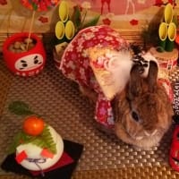 まとめあげ　（汗