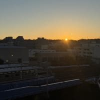 ２５年０１月　見たまま！聞いたまま！撮ったまま！