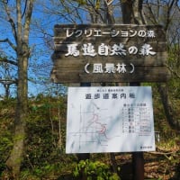 瀞台・272.7ｍ（名水側）