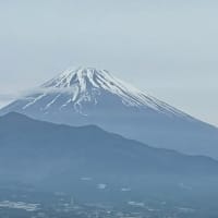 GW超穴場の三島・沼津観光 (その3) ！　沼津港 & 三島郊外観光へ