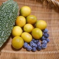 相方のドック再検査で病院へ