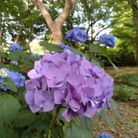 八千代〜印西 何気ない休日