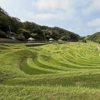 ◆  千代豊年囃子練習