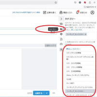 引っ越しだぁ～と、取り敢えず、hatenablogさんで作ってみました　（３）さようなら編  (T T)