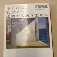 泳ぐのに、安全でも適切でもありません  江國香織