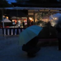 下鴨神社　蛍の茶会