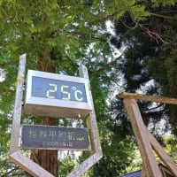猛暑到来（756回目）