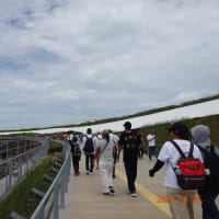 大阪万博、大屋根リング歩いてきました