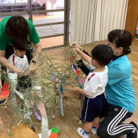 つぼみ（はな）組の６月♡