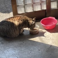 りゅうくん帰宅は夜の8時半！(≧▽≦)