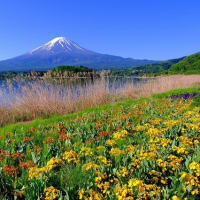 大石公園からの富士山（5/13 m）