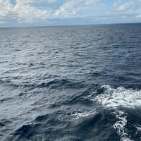 夏休みに　八丈島に行ってきました　Part１１　いよいよ　八丈島に別れを告げます