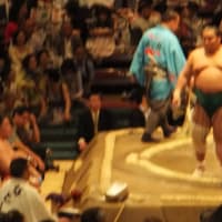 大相撲３日目