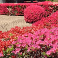 連休雑記
