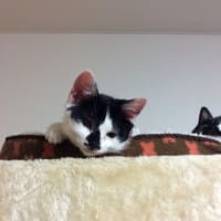 お帰りなさい