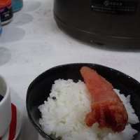 虫もいなくなる除草剤