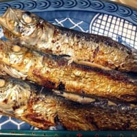 夕食はイワシの丸干し定食