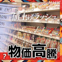 いつまで続く、ロシア侵攻、新型コロナ、物価上昇、政治家何やってんだ