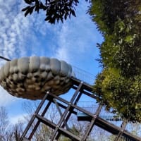 浮雲の桟橋：パノラマ展望台