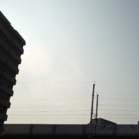 今日の博多３５２　【２５%追加関税】