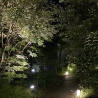 玉峰館　2024年7月