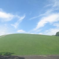 夏至も過ぎ梅雨空になり蒸し暑い