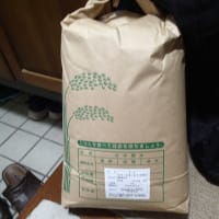 古古古米(玄米)が届いた  生け垣の剪定も(2025/7/5)