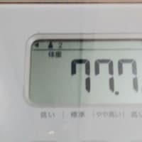 ３月ダイエット記録　16日目