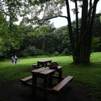 赤城自然園⑤