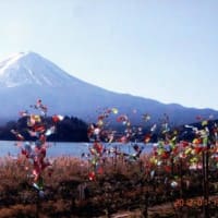 冬晴れの富士山　吉田うどんをズルッと