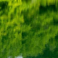 緑のため池