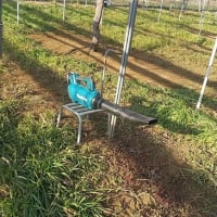 ゴッホの赤い葡萄畑と緑の葡萄畑 充実果樹園生活 つくば展開地ぶどう園