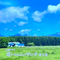 2025年6月18日(水)  友遠方より来たりて、ハウスクリーニングもね