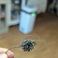 謎の物体