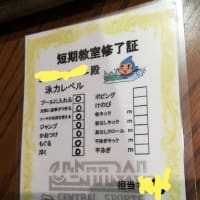 スイミング