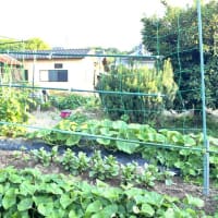 6月20日(金)②