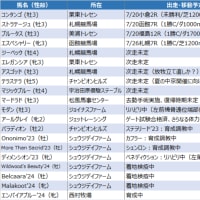 今週は３頭か４頭？ 何とか都市伝説的な好結果負を！