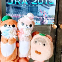 【✨📝感動＆サインありがとう😆😆😆】💐📀ぶるみサイン会😍😍😍(6/29)