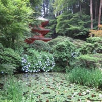 関西花の寺２５ゕ寺　第１５番・岩船寺