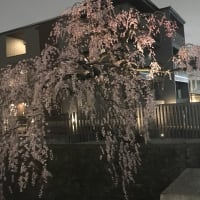 これからの道