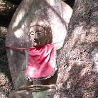 甲山散策