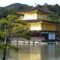 久しぶりの　京都。