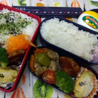 今日のお弁当