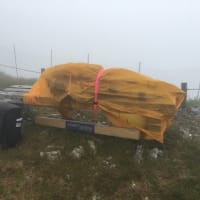 第55回 6m&Downコンテストに参加