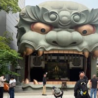 難波八坂神社ショートビデオ╰(*´︶`*)╯♡