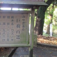 都萬神社　妻のクス