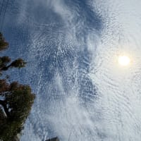 梅雨入り2025