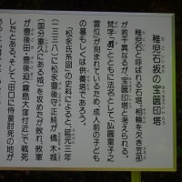 矢切馬頭観音堂他