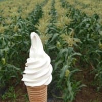 遠出おっくう(-_-;)・・・マンネリ化登山